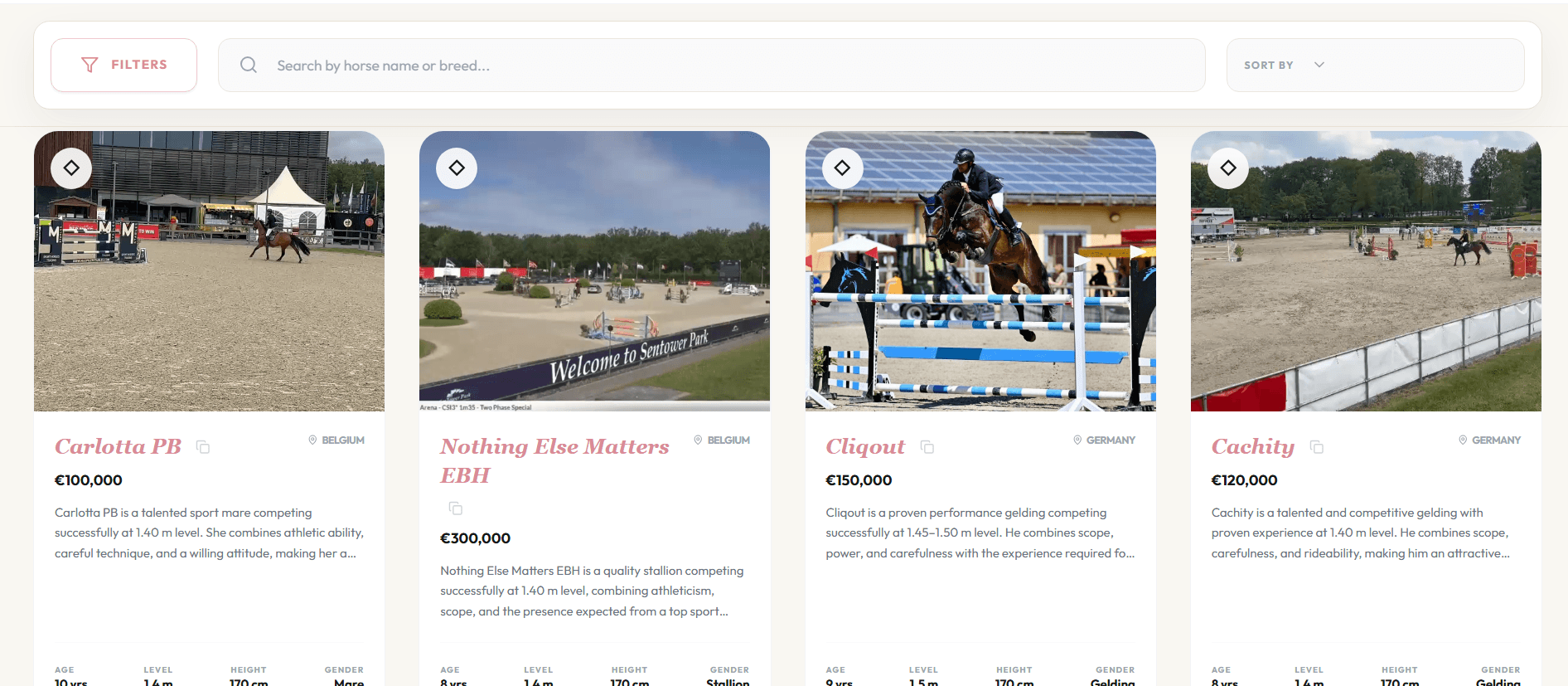 Horse Management Platform Desktop View